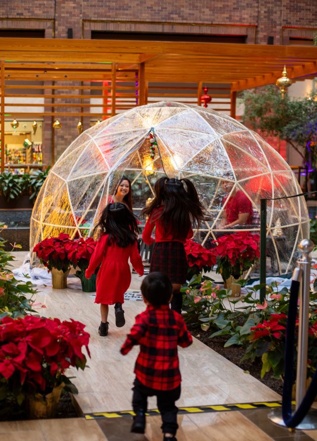 Christmas at the Anatole Dallas Holiday Event Hilton Anatole